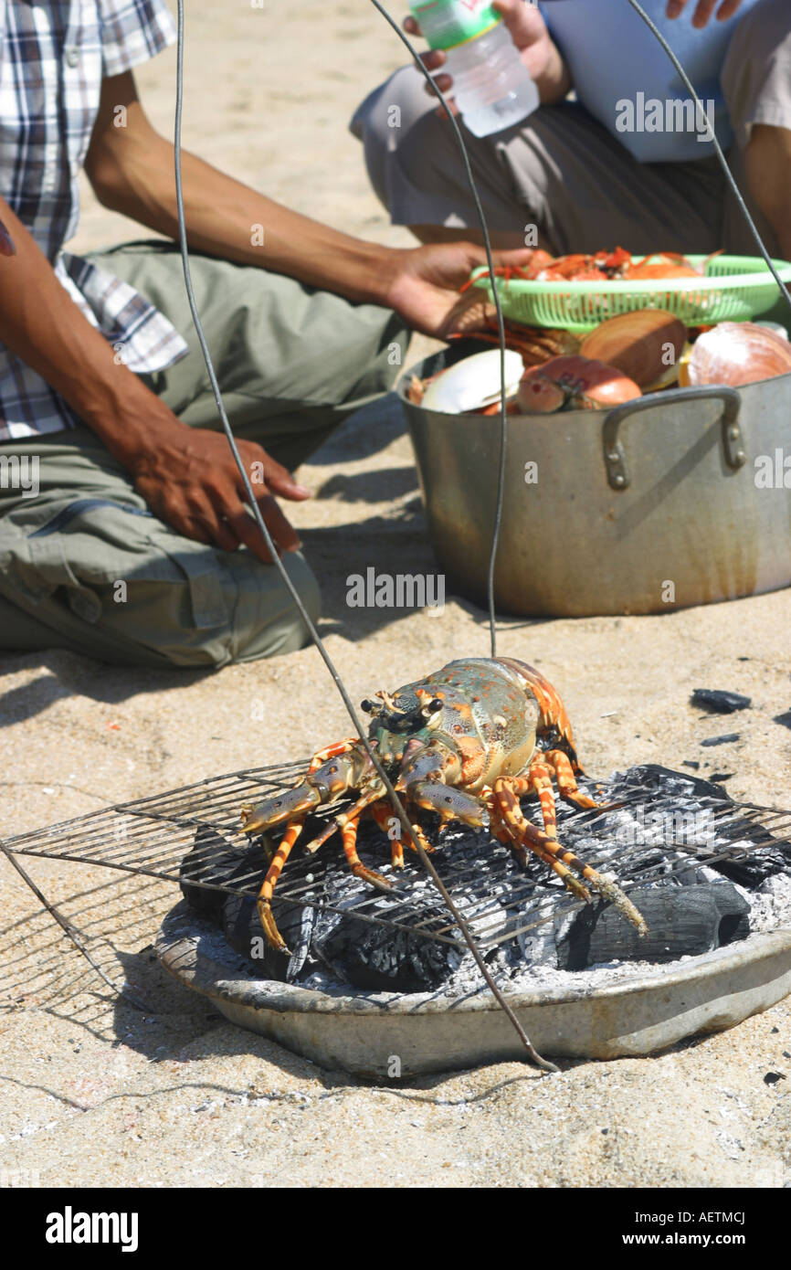 Mann, die vietnamesische Küche Hummer am Strand in Vietnam Stockfoto