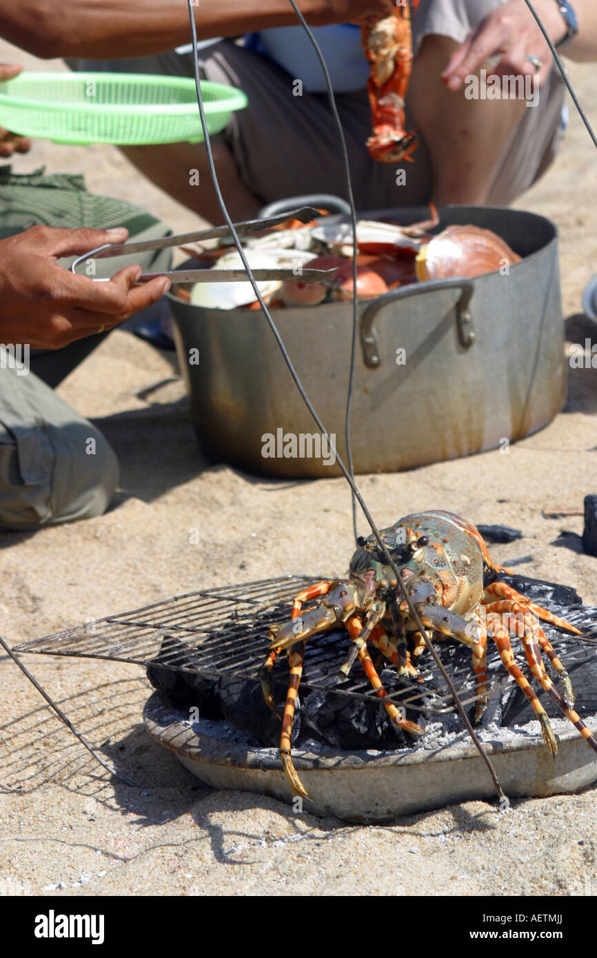 Mann, die vietnamesische Küche Hummer am Strand in Vietnam Stockfoto