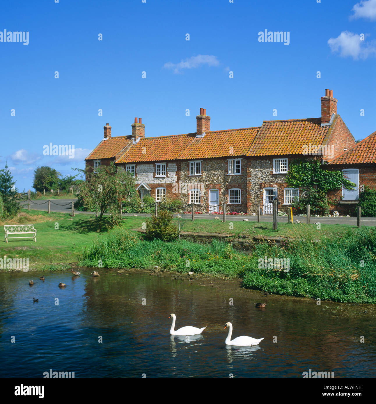 Klassische englische Teich mit Schwan und Cottages Norfolk UK Europe Stockfoto