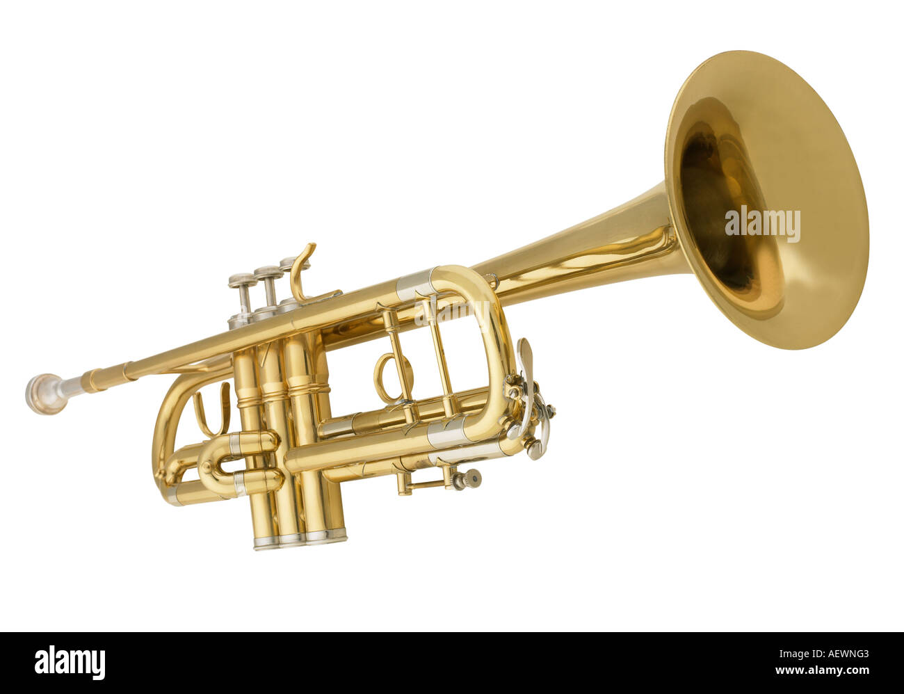 Stillleben mit einem horn Stockfoto