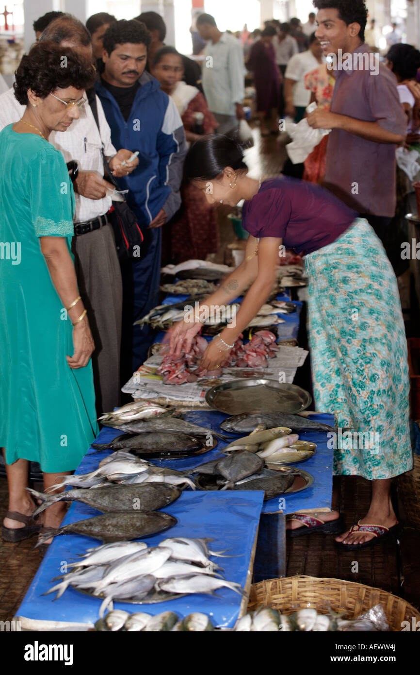 Margao Salcete Goa Indien Fischmarkt Stockfoto
