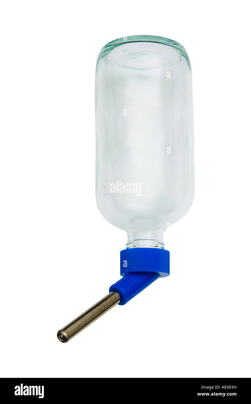 pet Wasserflasche Glas Stockfoto