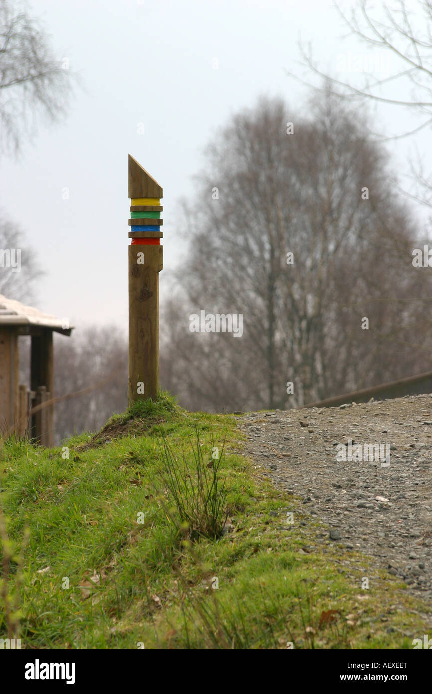 Route-Marker-Post im Waldpark Stockfoto