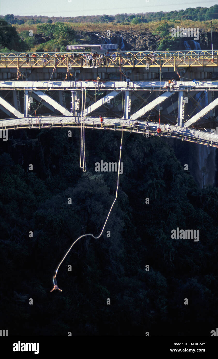 Zimbabwe Viktoriafälle, MenschenBungeeJumping von der SambesiBrücke