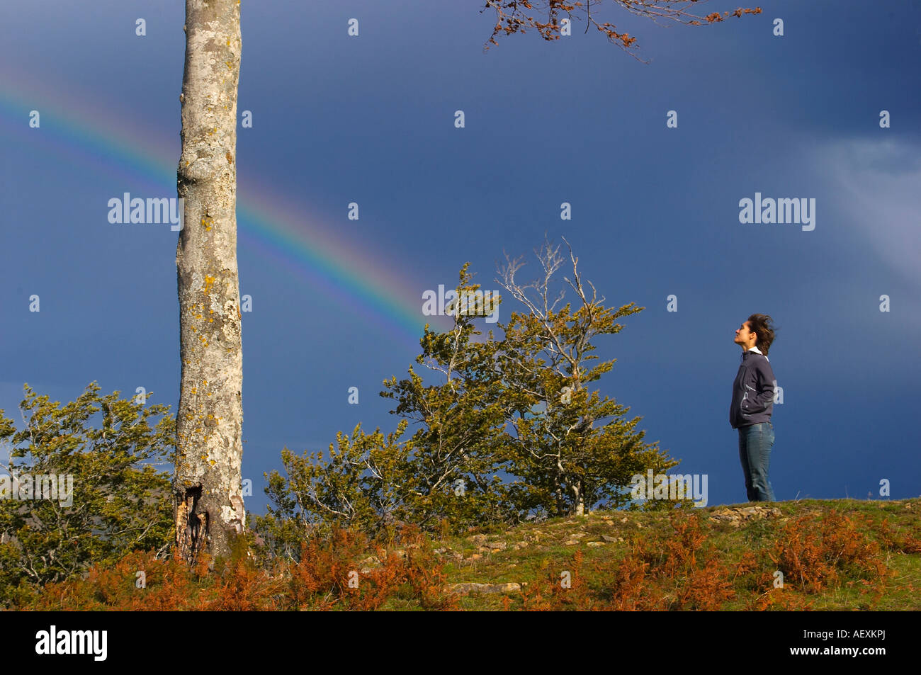 Arco Iris, Haya y Persona Quinto Real Kintoa Navarra España Regenbogen, Buche und Menschen Navarra-Spanien Stockfoto