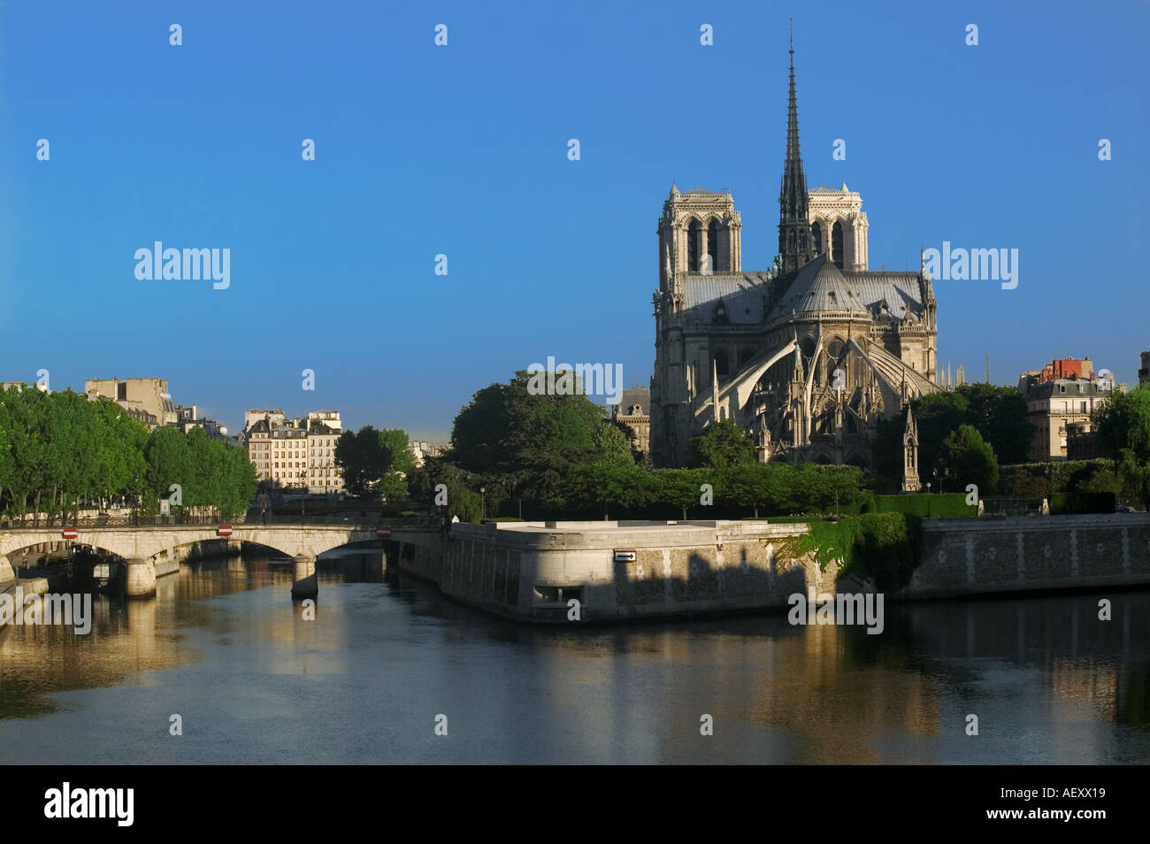 Frankreich - Notre Dame Kathedrale in Paris Stockfoto