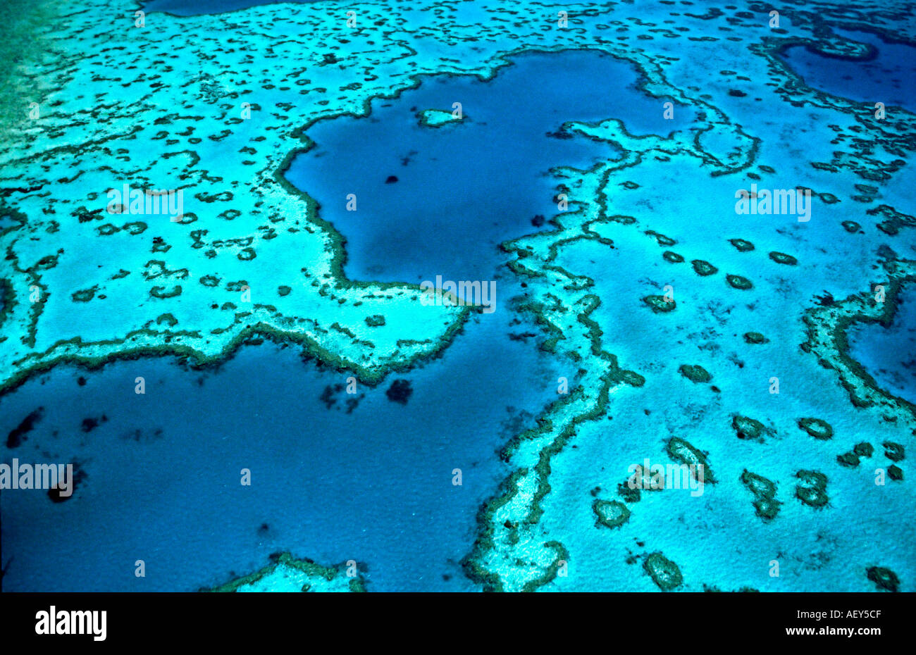 Great Barrier Reef in Australien Queensland Luftaufnahme Stockfoto