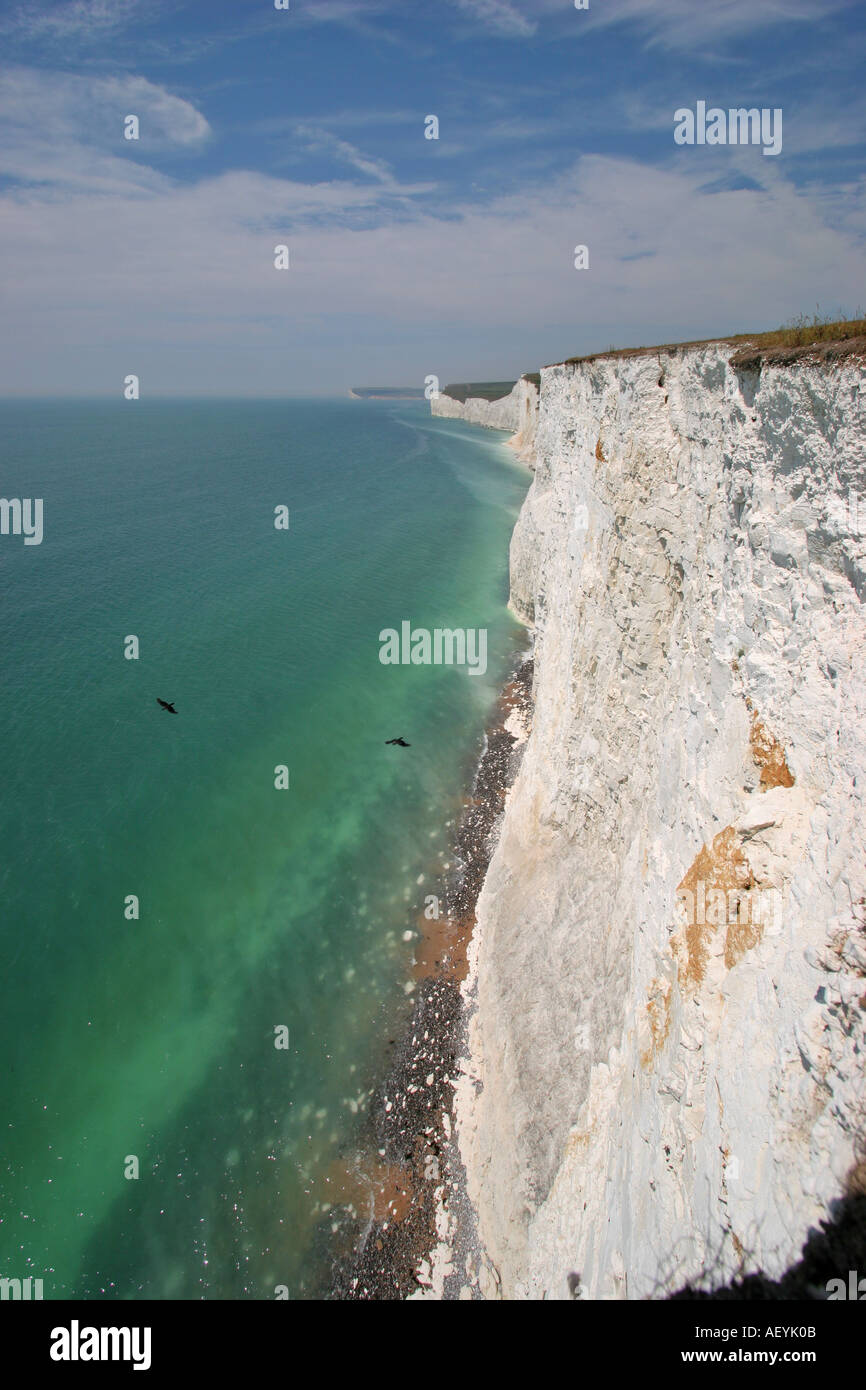 Seven Sisters Kreidefelsen mit Jackdaws, die unten fliegen - von Birling Gap Sussex UK Stockfoto