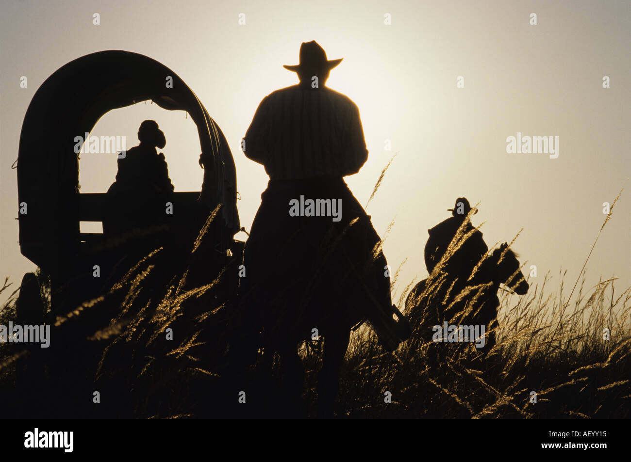 Wagenzug re enactment in Flint Hills von Kansas Stockfoto