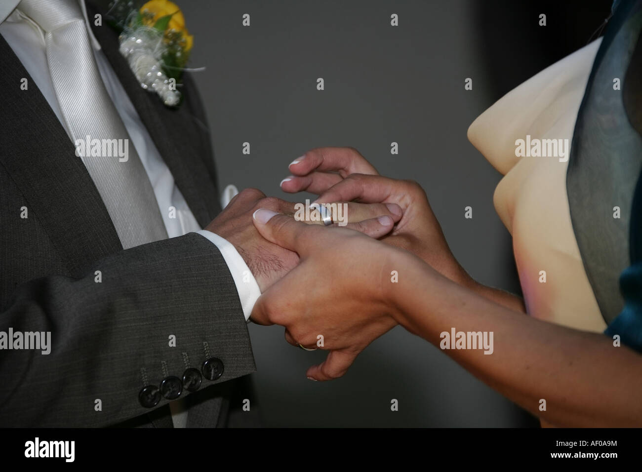 Braut Hochzeit Ring mit ihrem Bräutigam, Beschriftung ändert sich: Fotoarbeit Steckt Dem Braeutigam Den Ehering Auf Den Ausgangspunkt Ringfinger Stockfoto