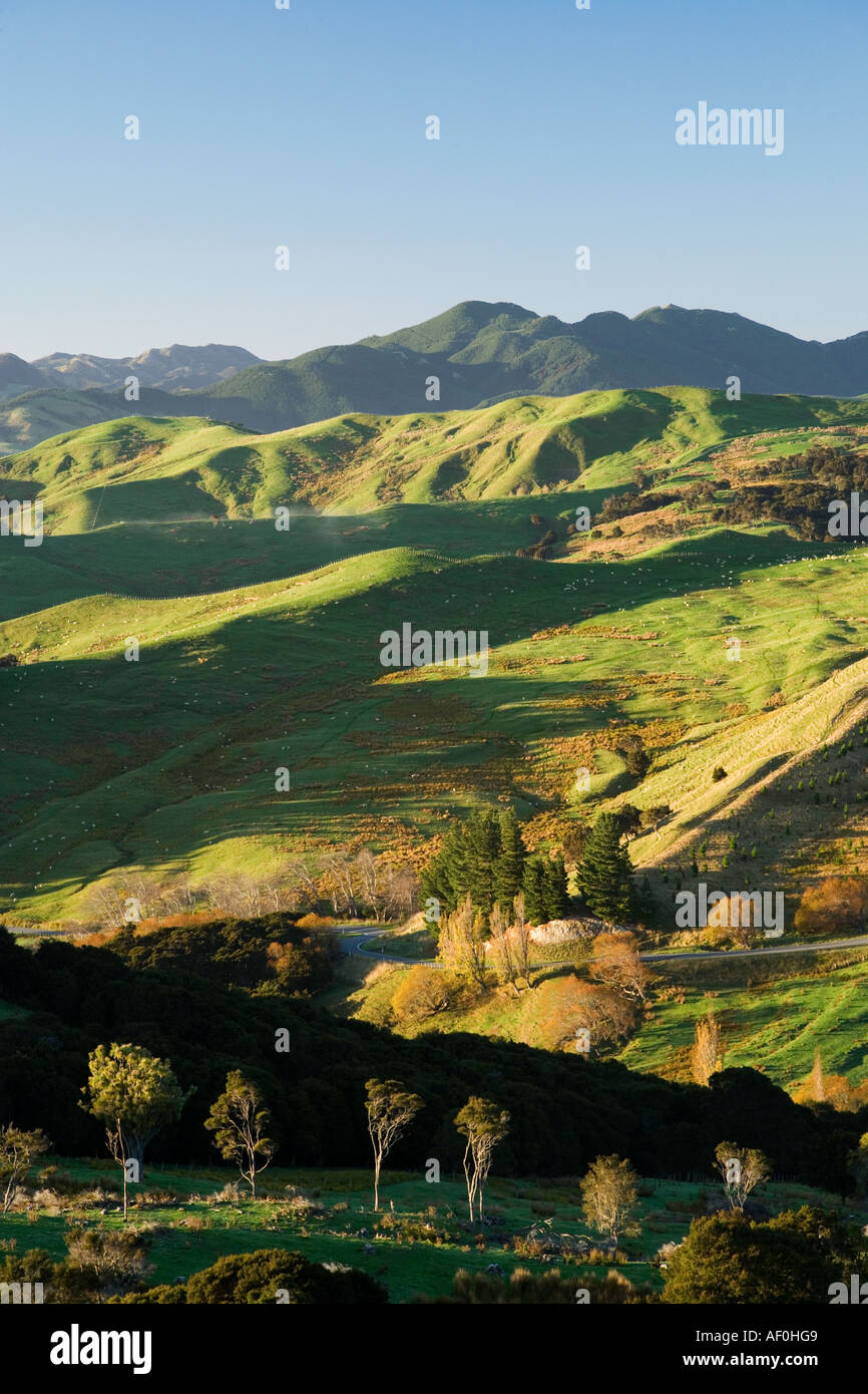 Ackerland in der Nähe von Martinborough Wairarapa Nordinsel Neuseeland Stockfoto