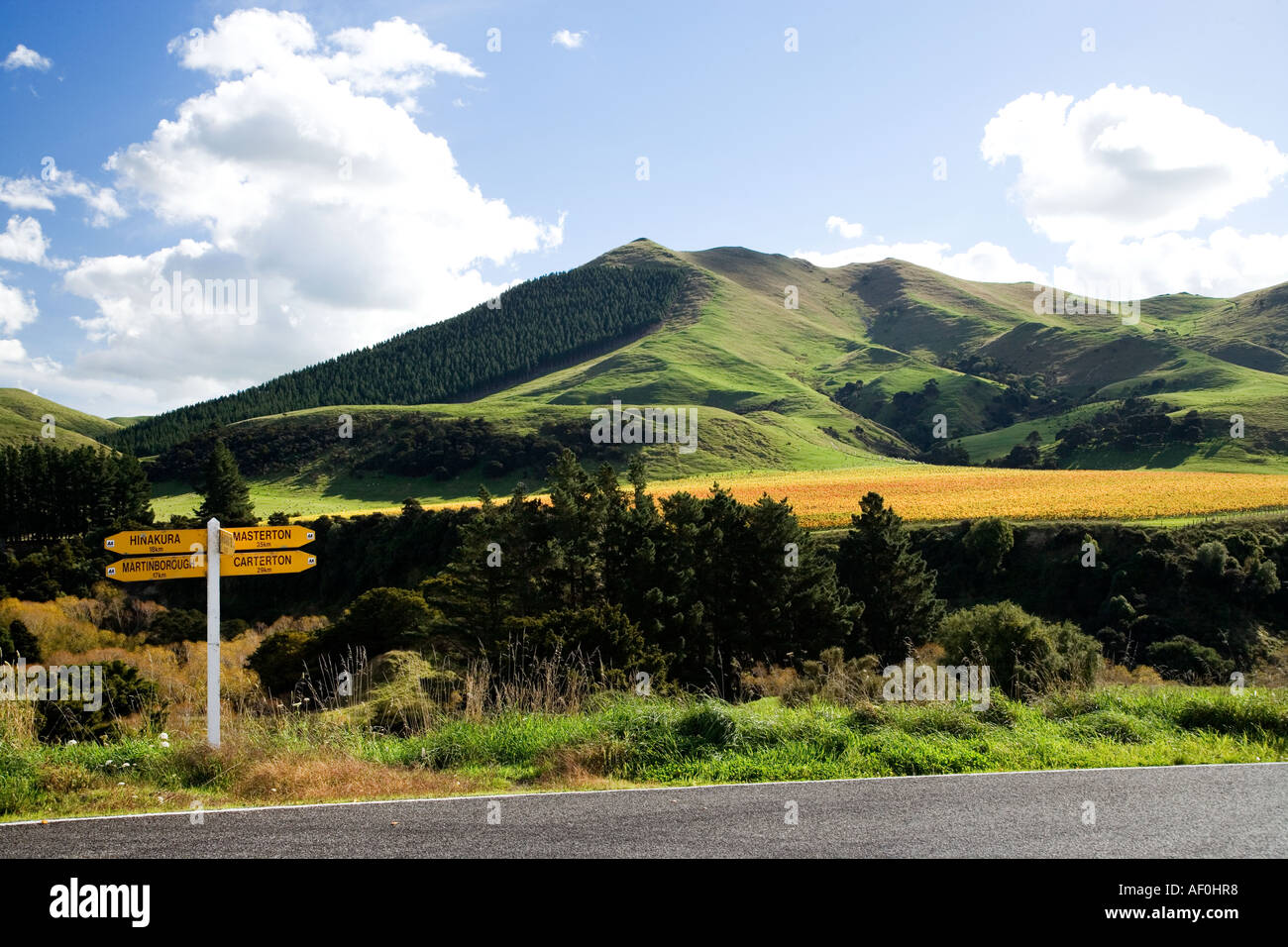 Springrock Weinberg Te Kairanga bei Martinborough Wairarapa Nordinsel Neuseeland Stockfoto