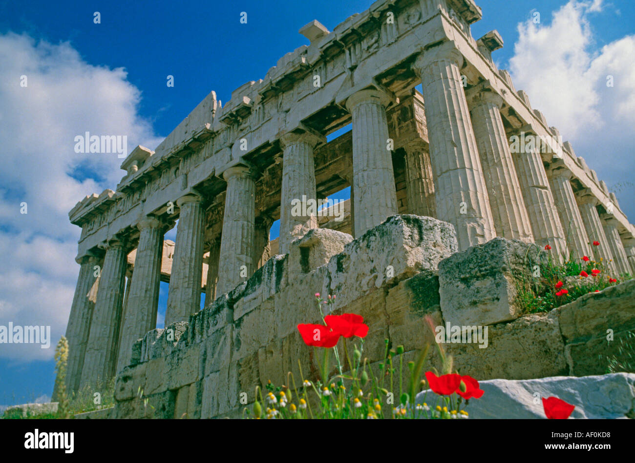 Parthenon mit Mohnblumen, Athen, Griechenland Stockfoto