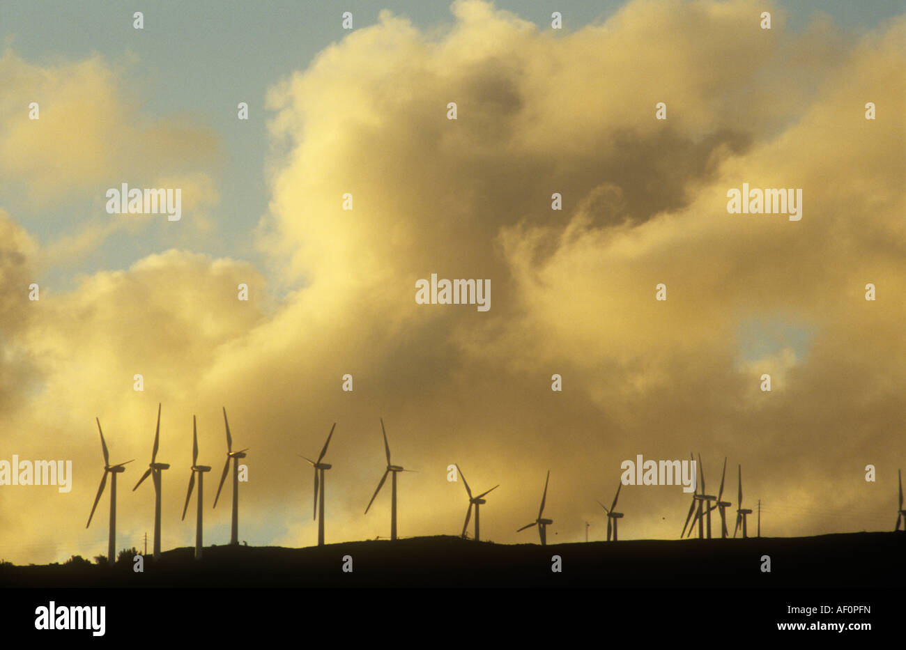 Windkraftanlagen in den Wolken. Stockfoto