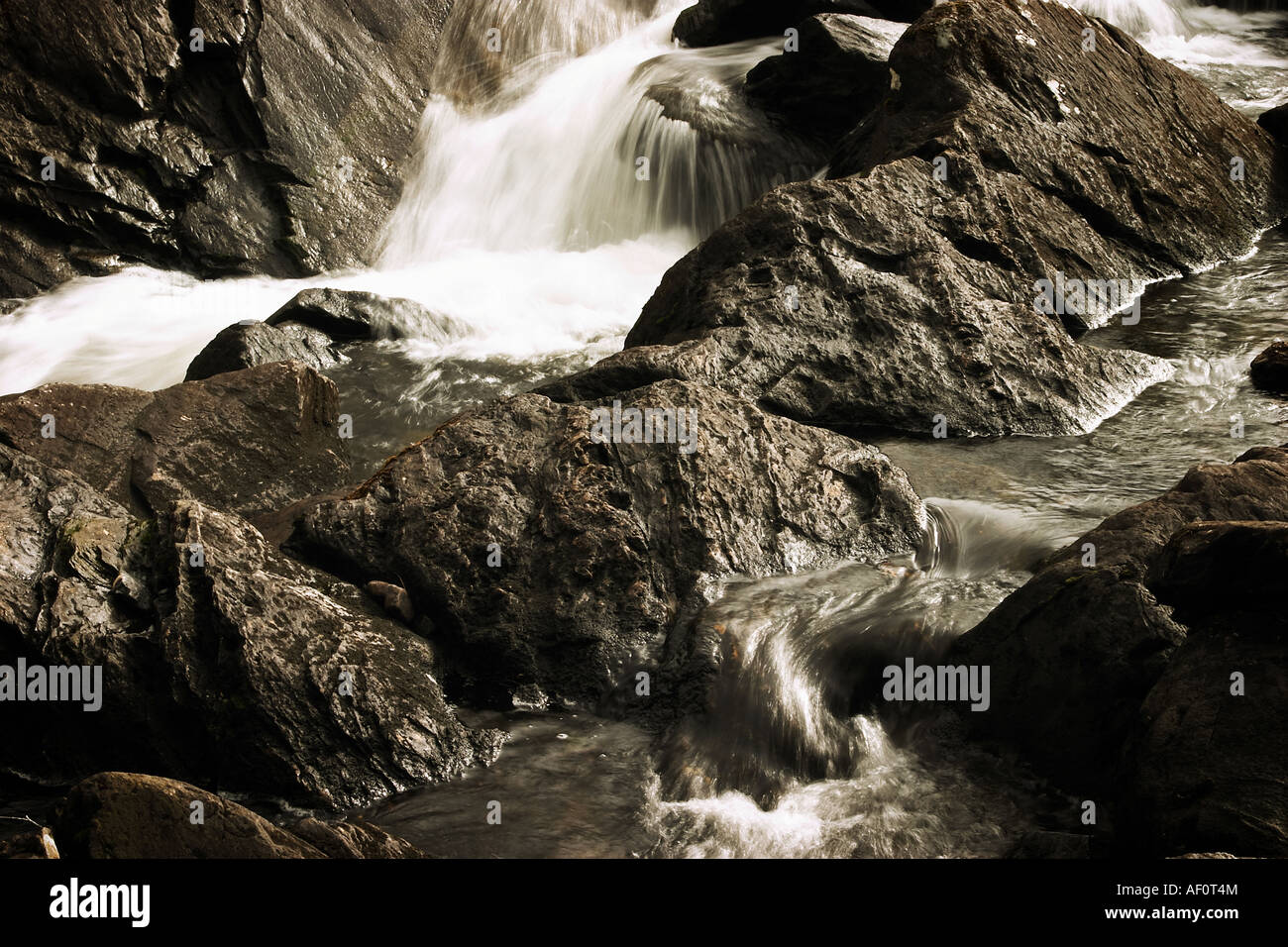 Get Kerry zuschuss Free