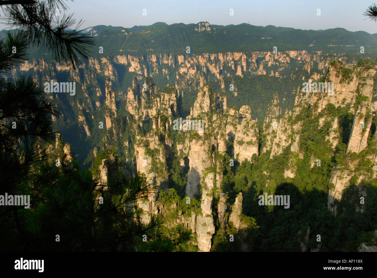 Rock Formation Kalksteinfelsen und Ernte zum ersten chinesischen National Park in Zhangjiajie und Wulingyuan Stockfoto