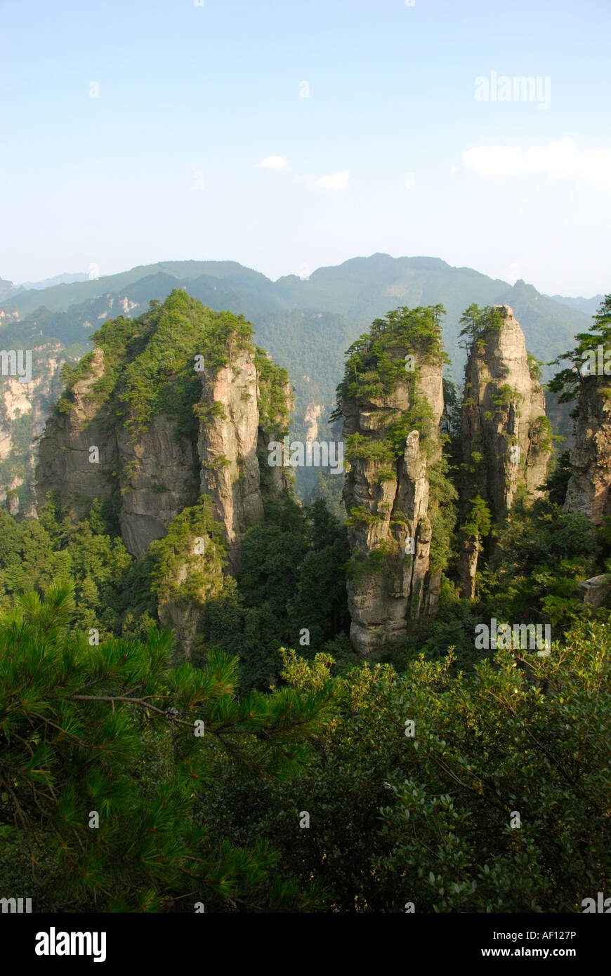 Kalkstein-Rock-Formation, Ernte zum ersten chinesischen National Park in Zhangjiajie und Wulingyuan Stockfoto