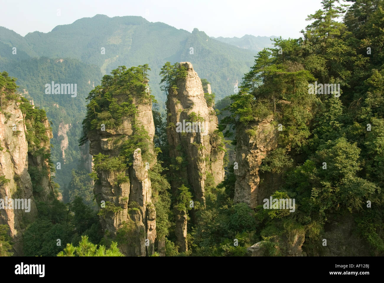 Kalkstein-Rock-Formation, Ernte zum ersten chinesischen National Park in Zhangjiajie und Wulingyuan Stockfoto