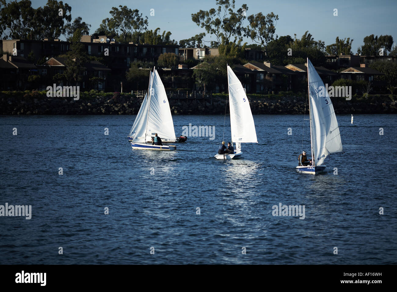 UCLA Segelboote Praxis in Marina del Rey, Los Angeles County, Kalifornien, USA Stockfoto