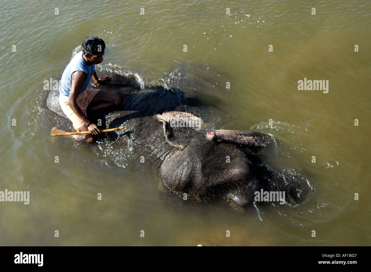 MAHOUT BADEN ELEFANTEN, KIPLING CAMP, KANHA, MADHYA PRADESH Stockfoto