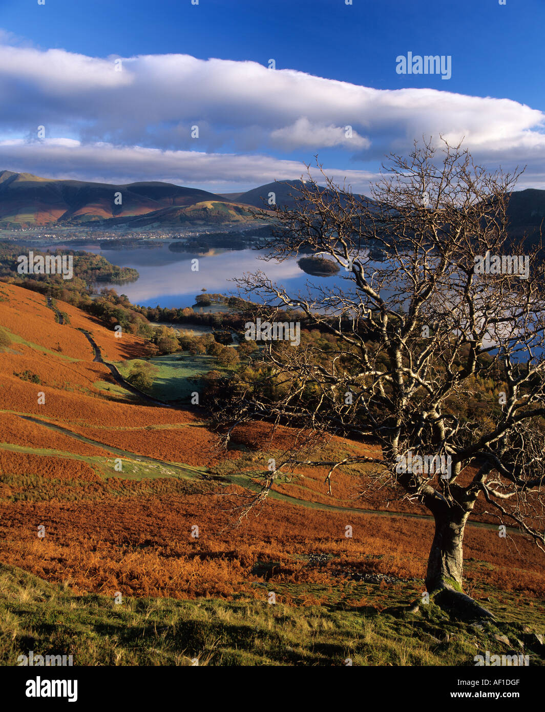 Derwent Water aus Catbells, Lake District, Cumbria, England, UK Stockfoto