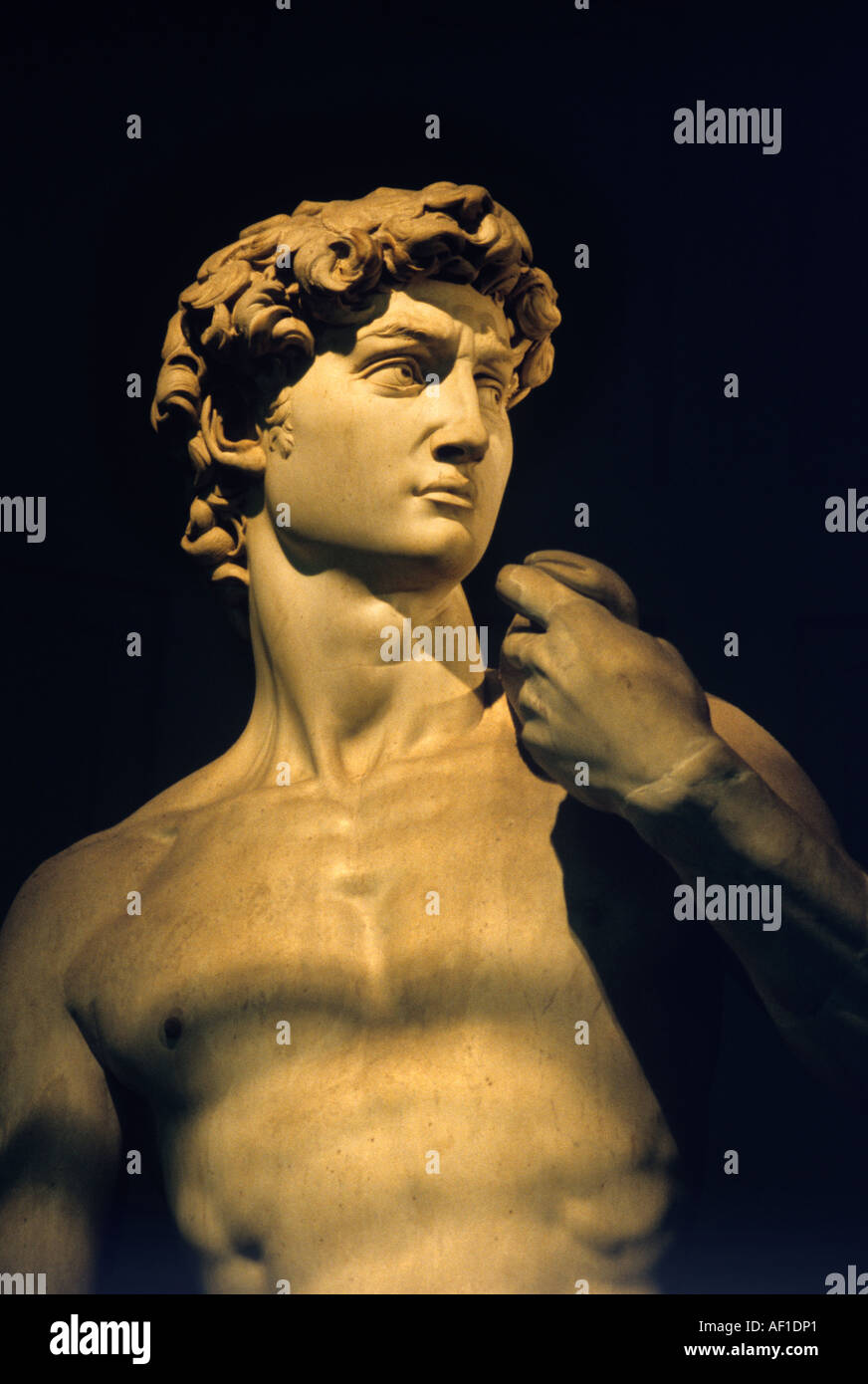 Statue des David von Michelangelo in der Galleria Dell Accademia, Florenz, Italien Stockfoto