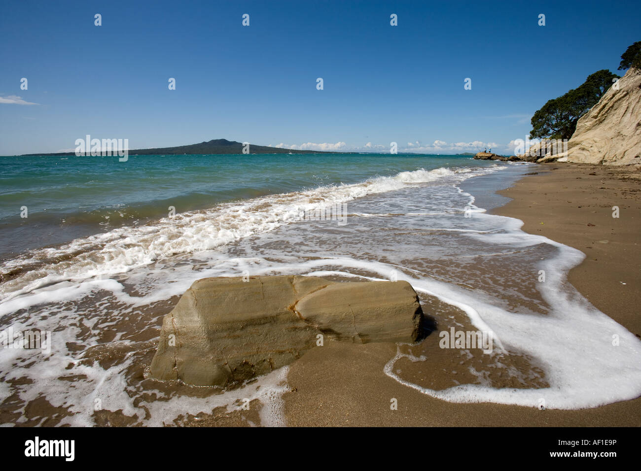 Blick auf Rangitoto Island aus schmalen Hals Beach, Neuseeland Stockfoto