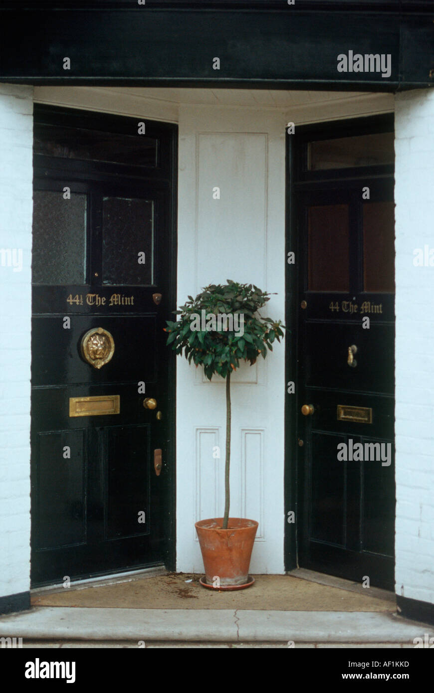 Eine Doppeltür mit Hausnummern 44 und 44 1/2 der Minze in Roggen Sussex Stockfoto