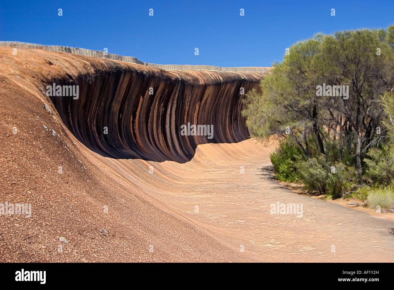 Wave Rock in der Nähe von Hyden, Western Australia, Australia Stockfoto