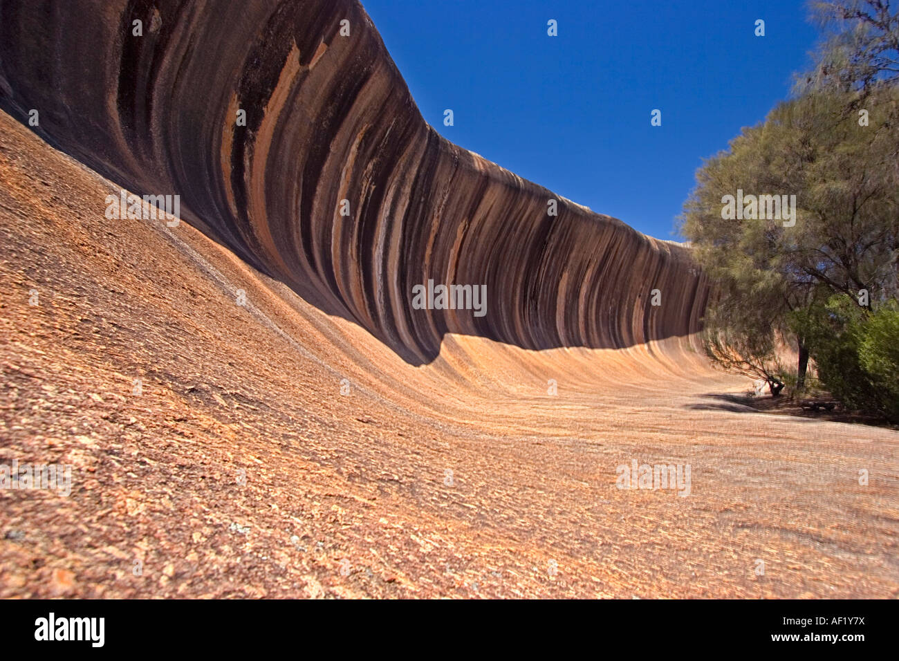 Wave Rock in der Nähe von Hyden, Western Australia, Australia Stockfoto