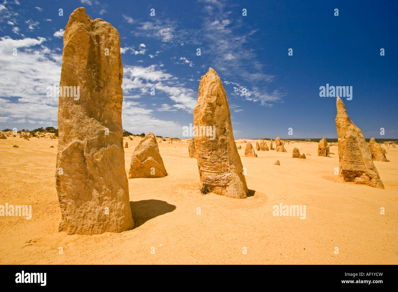 Die Pinnacles, Nambung National Park, Western Australia Stockfoto