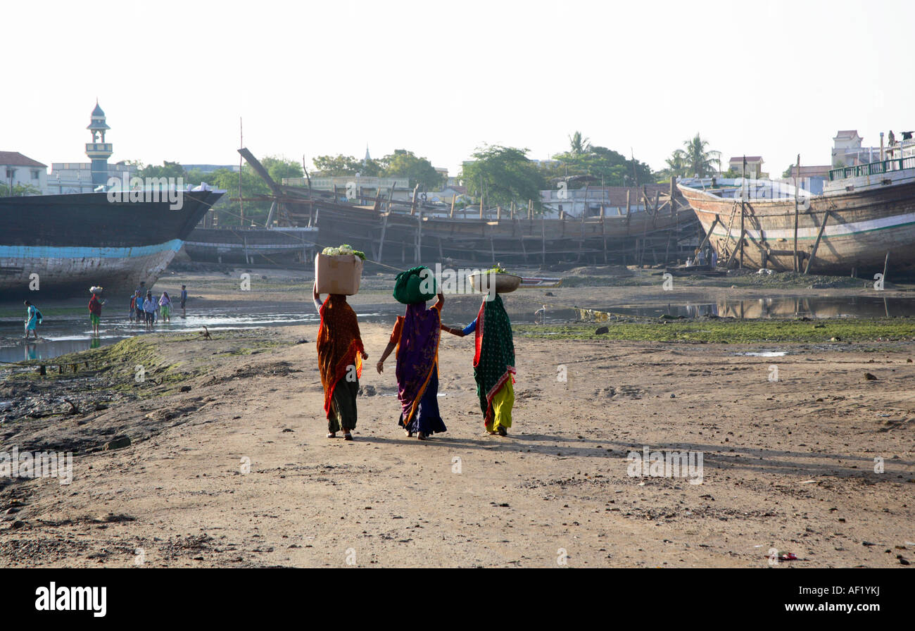 Indische Frauen tragen ihre Einkäufe auf ihren Köpfen über hölzerne Schiffswerft Hof, Mandvi, Kutch, Gujarat, Indien Stockfoto