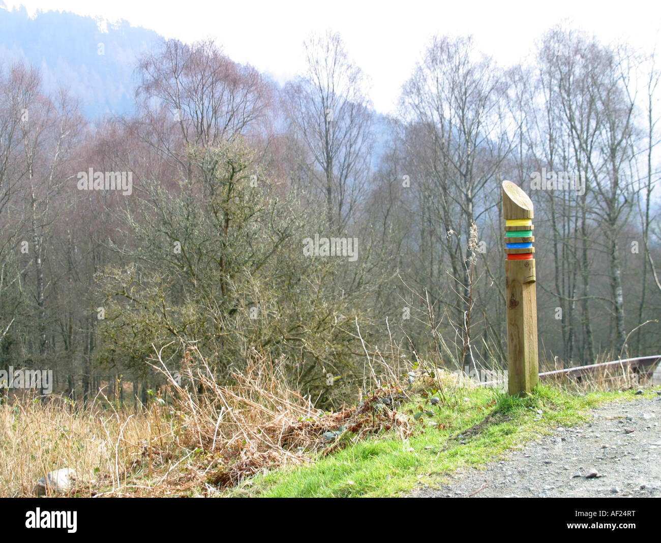 Route-Marker-Post im Waldpark Stockfoto
