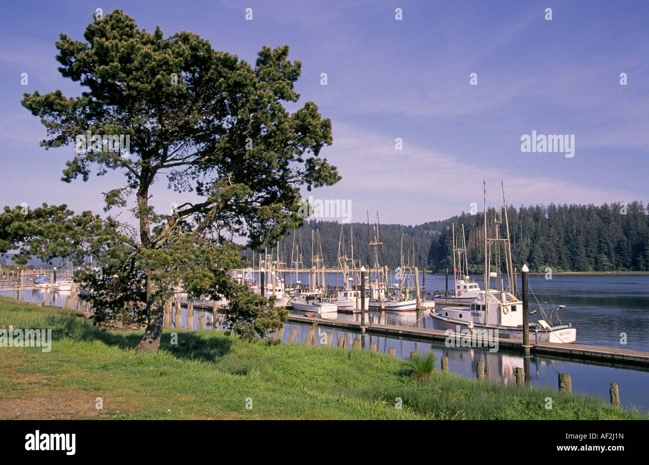 Ein Blick auf Lachs und Krabben Boote im Hafen an der Küste Oregons Florenz Stockfoto