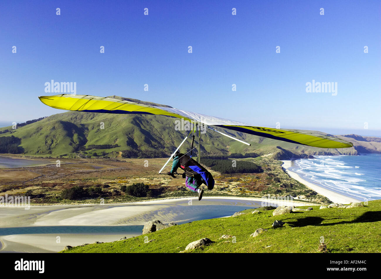 Hängegleiter Otago Halbinsel in der Nähe von Dunedin Südinsel Neuseeland Stockfoto