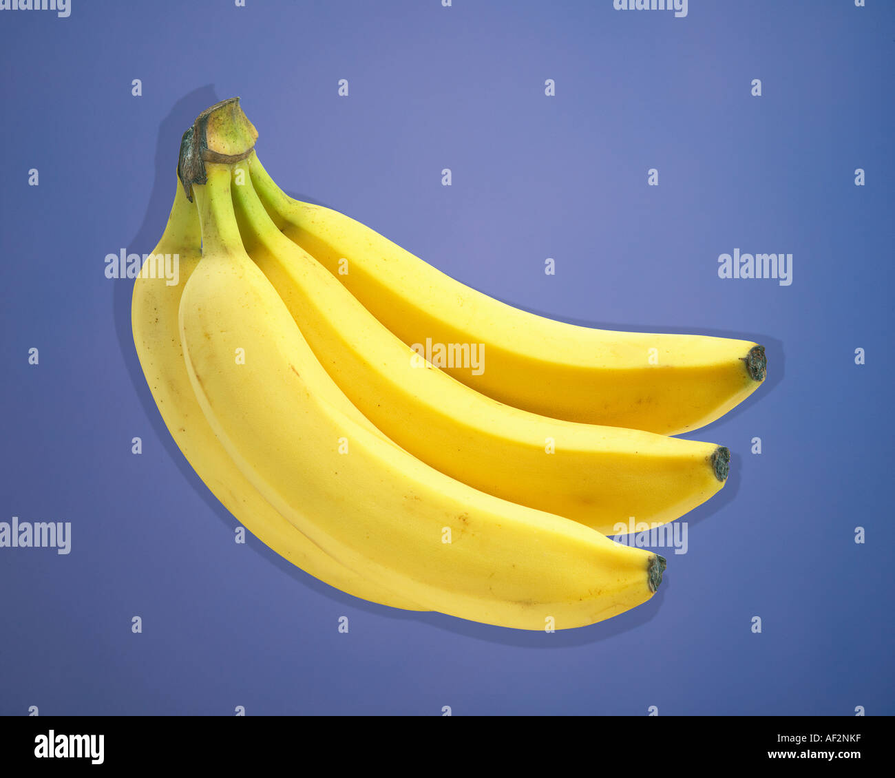 Red Rocket Lager Banane Haufen mit Beschneidungspfad auf farbigem Hintergrund Stockfoto