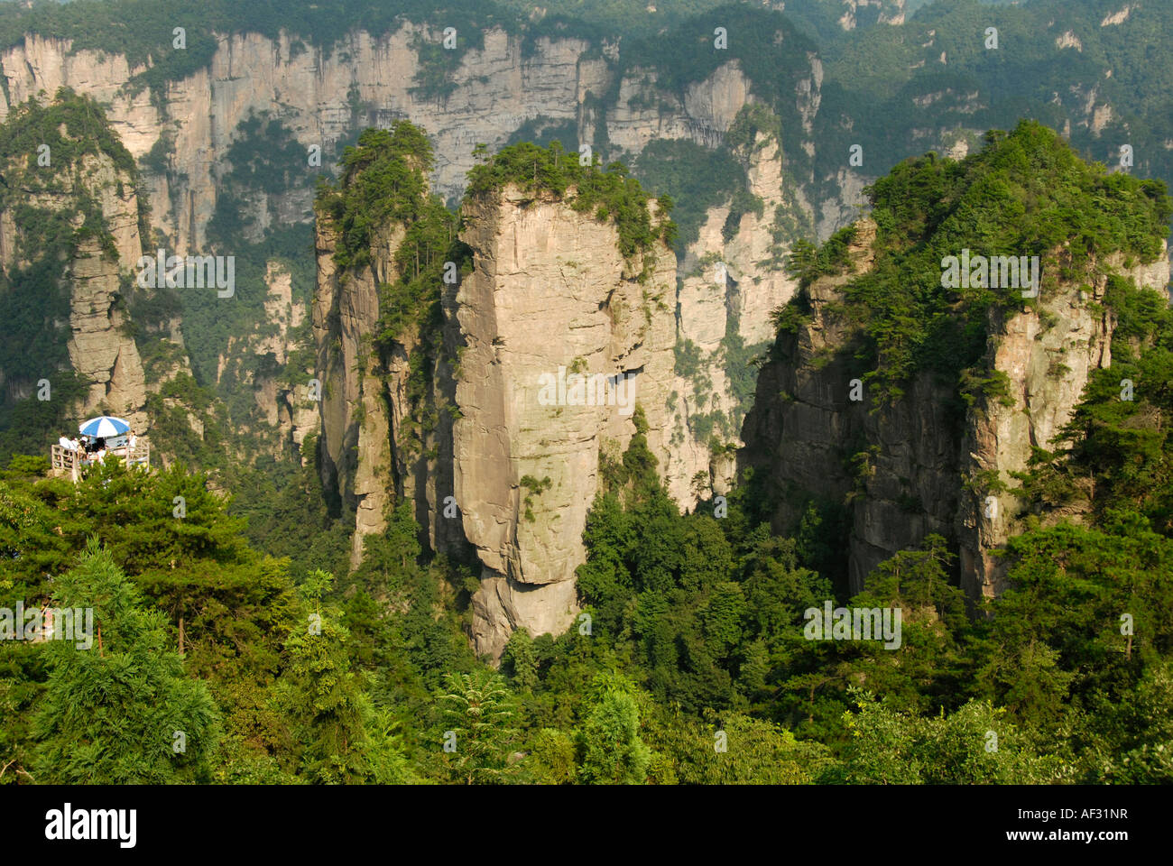 Kalkstein-Rock-Formation, Ernte zum ersten chinesischen National Park in Zhangjiajie und Wulingyuan Stockfoto