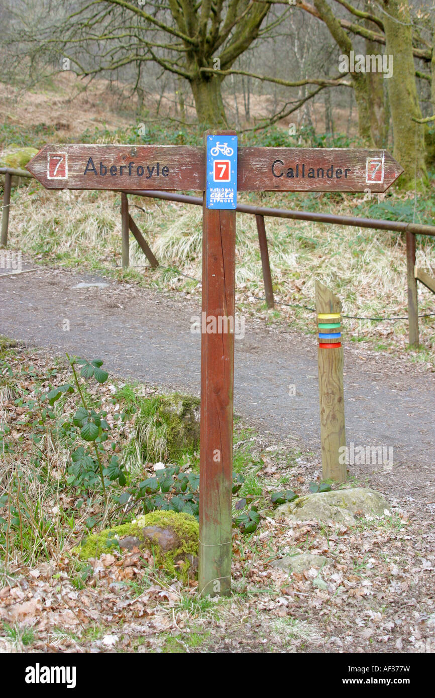 Cycle Route Wegweiser im Waldpark Stockfoto