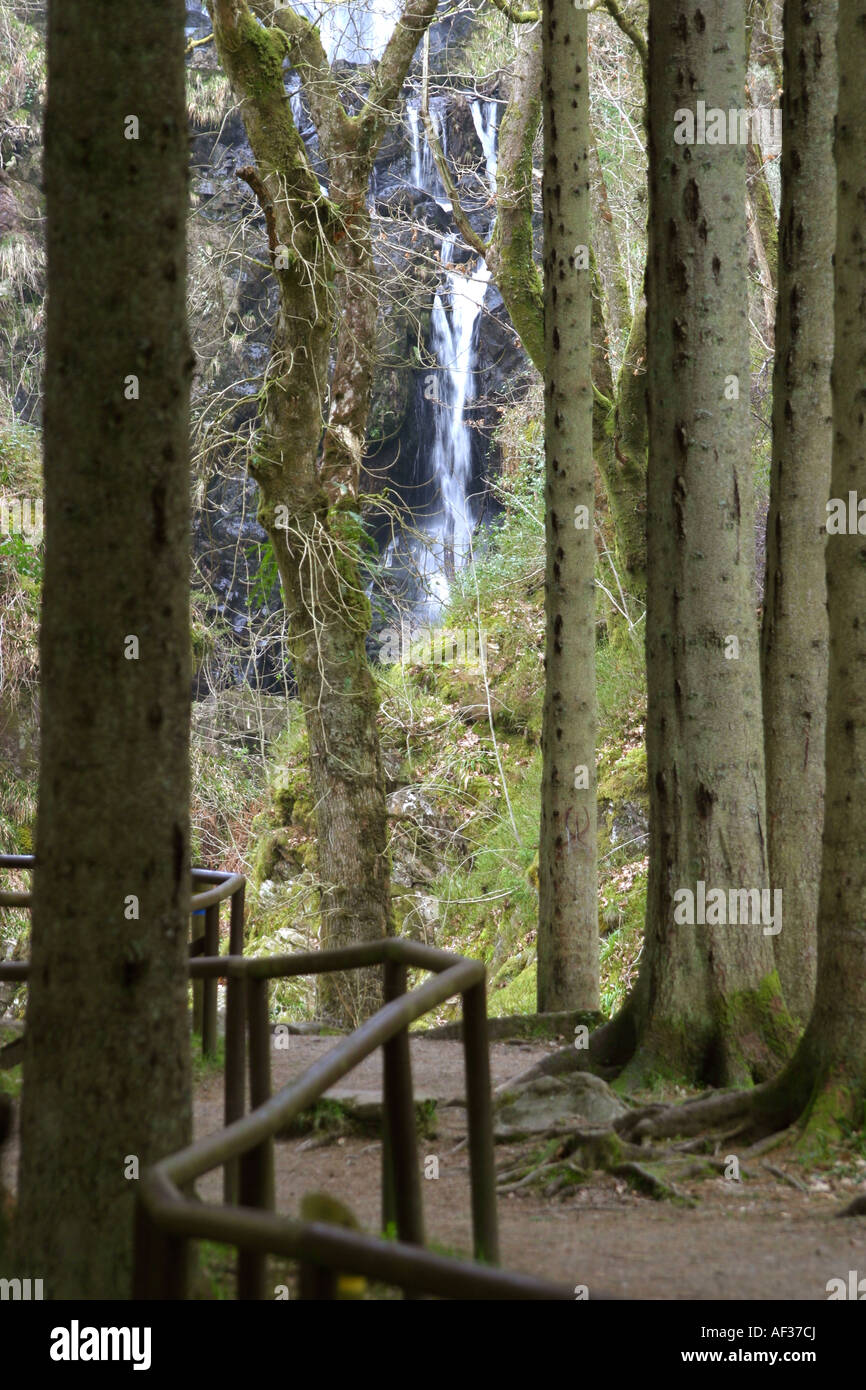 Weg durch den Wald zum Wasserfall Stockfoto