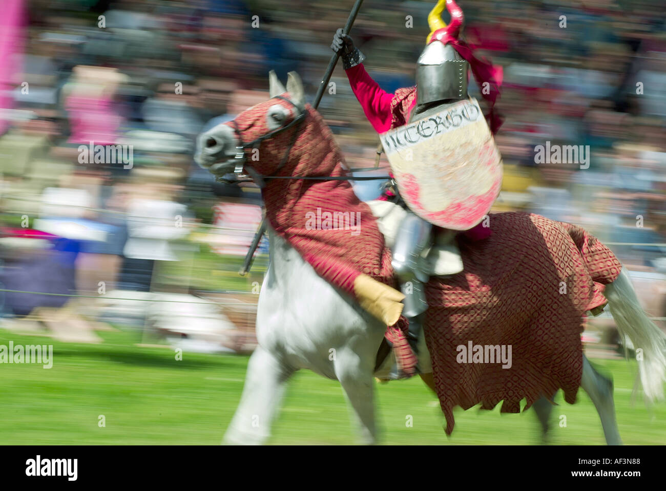 Ritter-Reitpferd Stockfoto