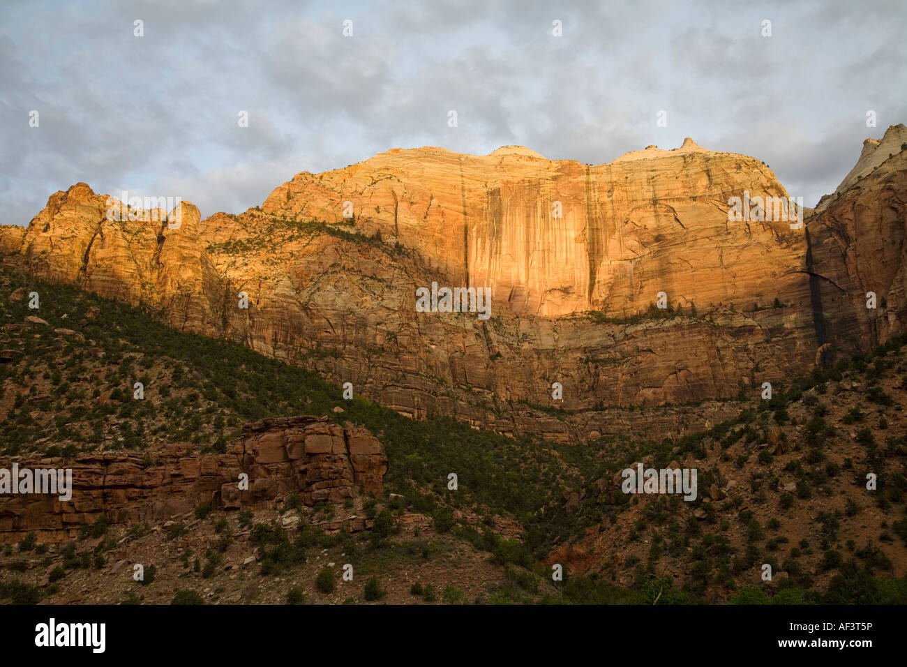 Blick auf die roten Felsen im Zion Nationalpark, Utah Stockfoto