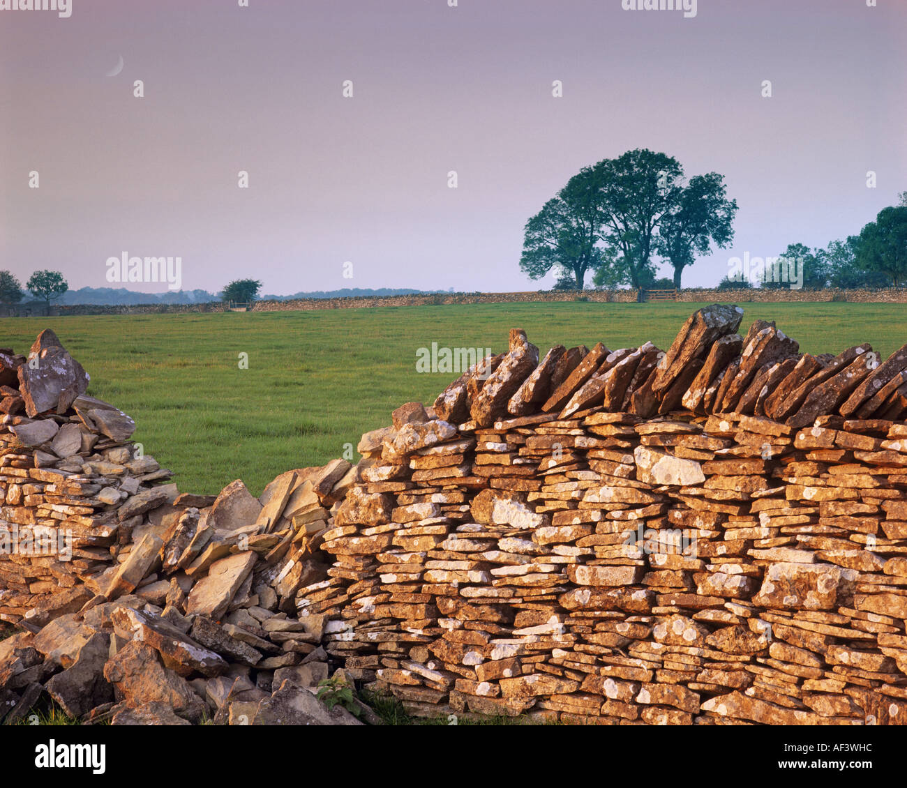 GB - GLOUCESTERSHIRE: Typische Cotswold Szene Stockfoto