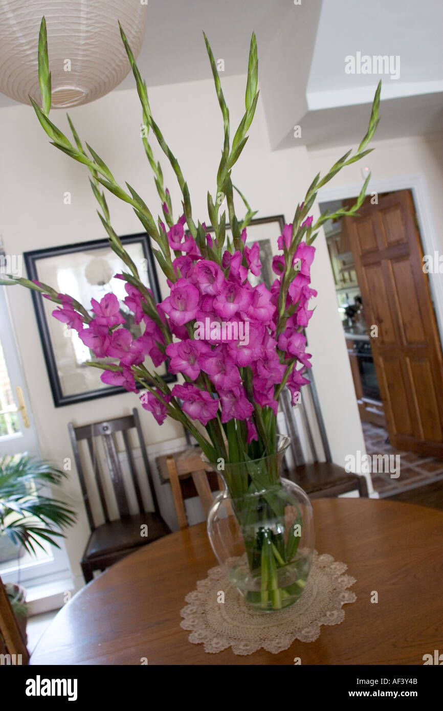 Gladiolen Blumen in Vase Stockfotografie - Alamy