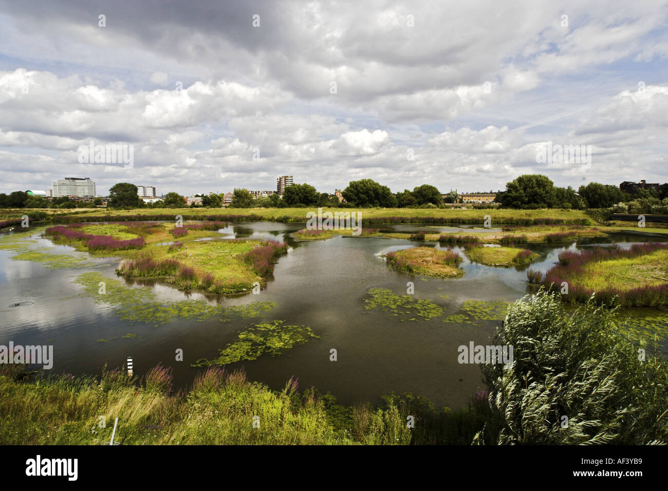 Die London Feuchtgebiete im Zentrum ein Naturschutzgebiet in London UK Stockfoto