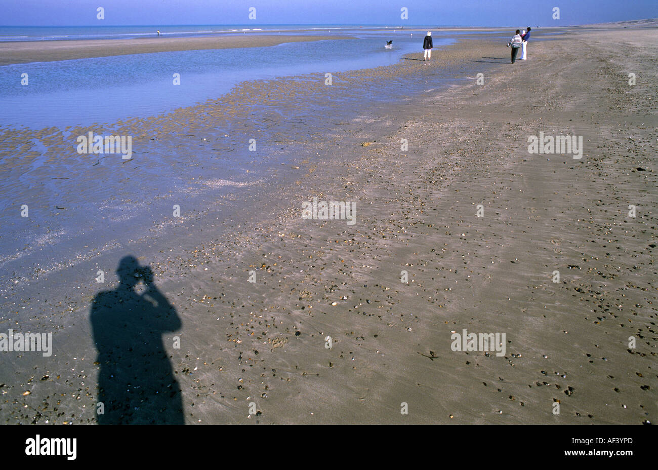 Strand in der Nähe von Ault La Somme Picardie Frankreich Stockfoto