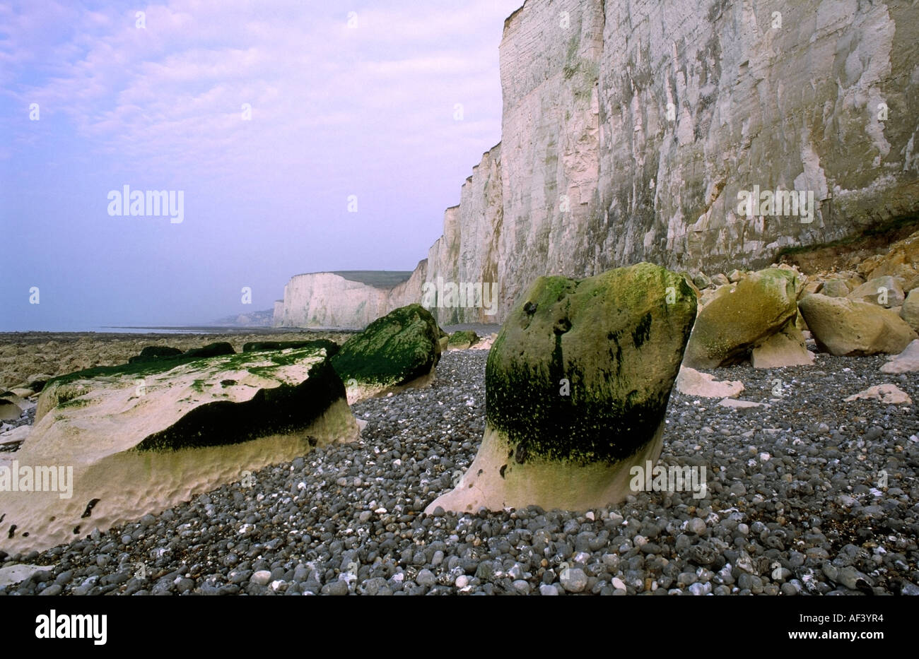 Côte Picarde Bois de Cise Picardie Frankreich Stockfoto