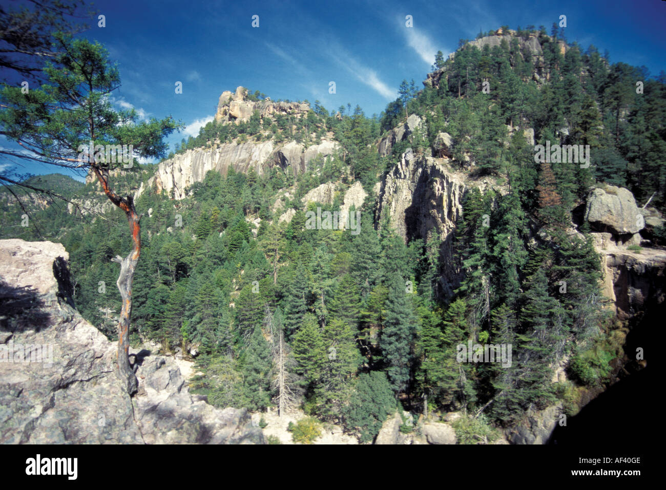 Sierra Madre Occidental Stockfoto