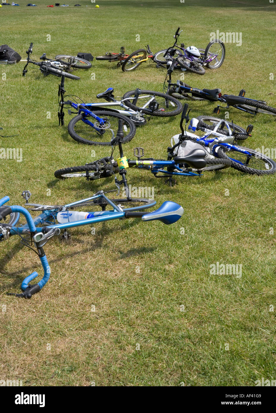 Push-Bikes auf dem Rasen Stockfoto