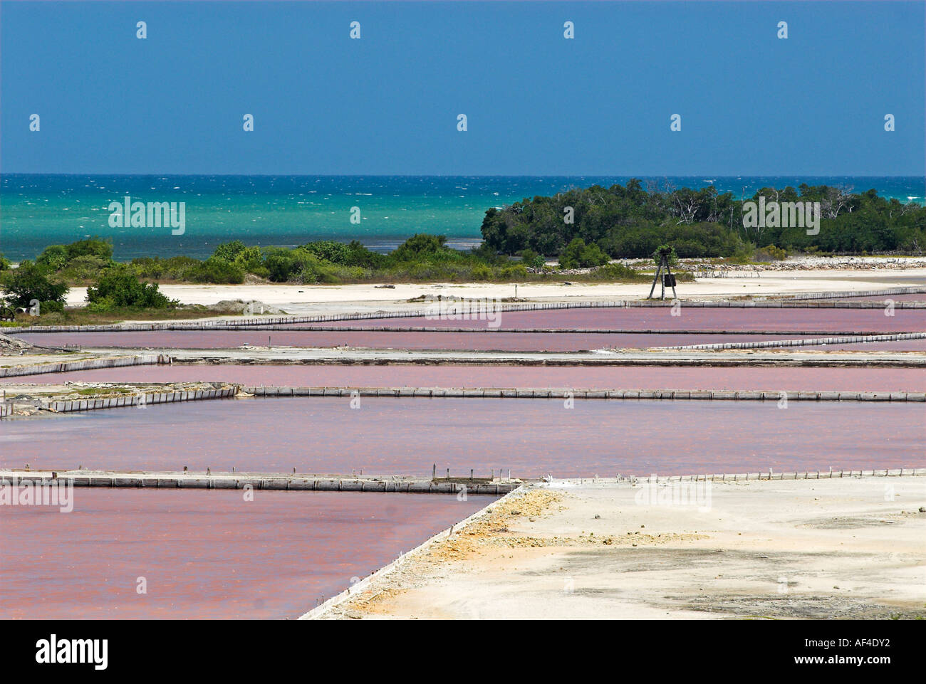 Salzgewinnung in Puerto Rico Stockfoto