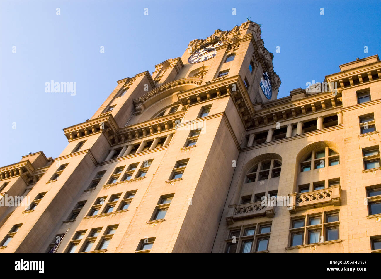 Königlichen Leber Gebäude, Liverpool Stockfoto